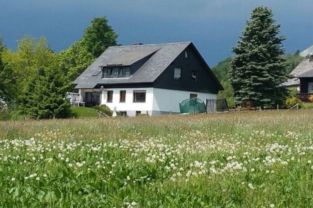 Grosses Ferienhaus in Hildfeld für max 16 Personen Haustierfreundlich ! in Hildfeld, Winterberg