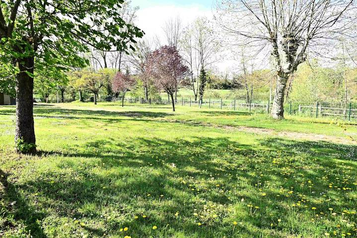 Camping pour 6 personnes, avec terrasse, animaux acceptés dans la Loire - 4