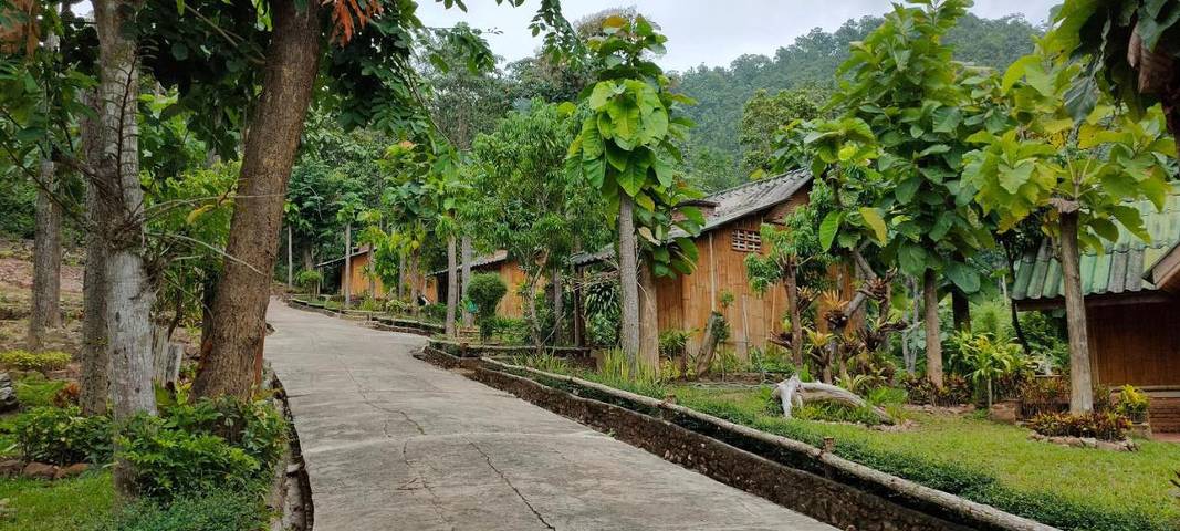 Maison d’hôte pour 2 personnes, avec jardin dans Mae Hong Son - 4