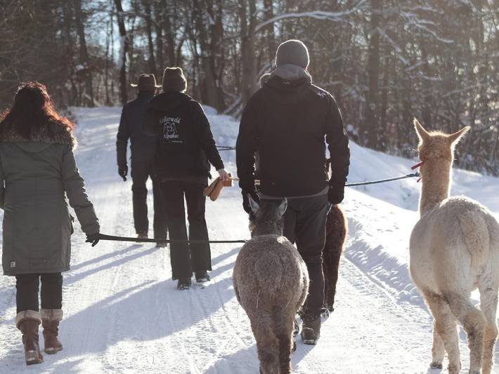 Ferienhaus für 14 Personen, mit Garten, kinderfreundlich am Edersee - 2