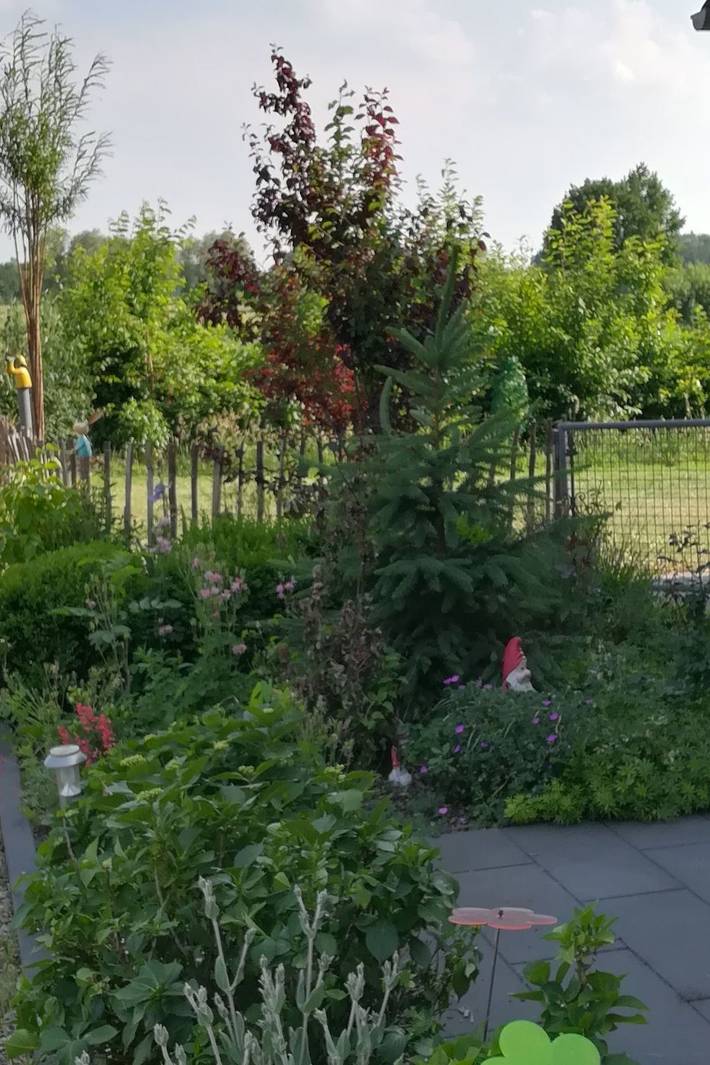 Ferienwohnung für 3 Personen, mit Terrasse im Münsterland - 3
