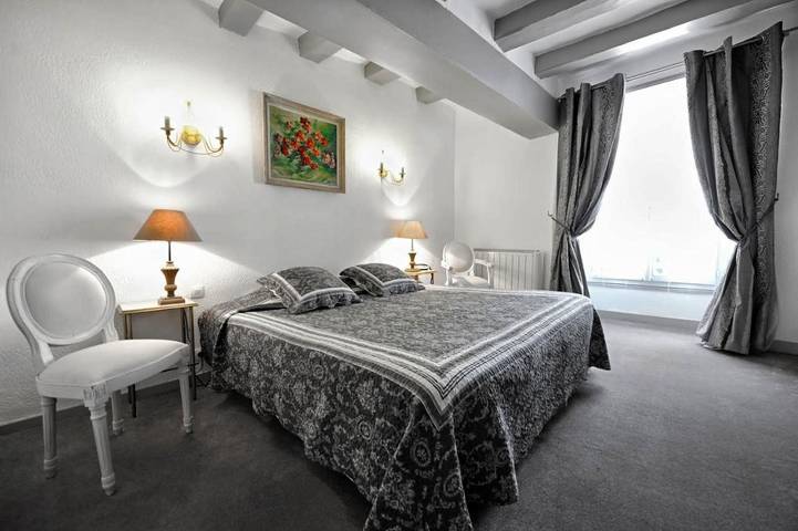 Hôtel pour 2 personnes, avec piscine ainsi que terrasse et jardin, animaux acceptés à Chenonceaux - 4