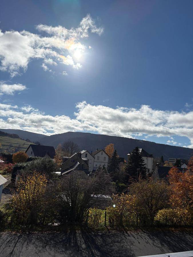 Chalet pour 16 personnes, avec jardin et vue, adapté aux familles à Murat-le-Quaire - 3