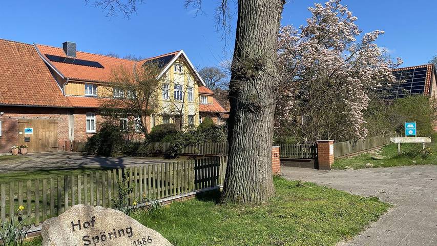 Ferienwohnung für 4 Personen, mit Terrasse und Garten in Walsrode - 2