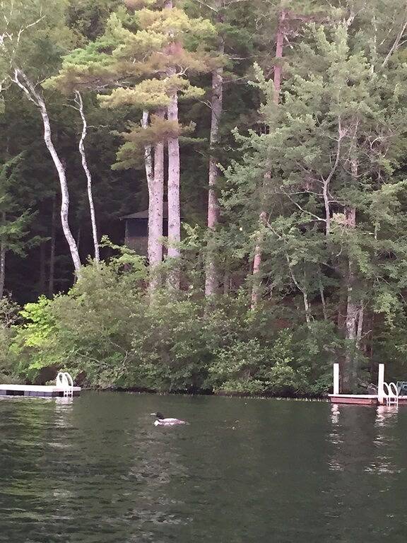 Blockhütte für 10 Personen, mit Terrasse - 1