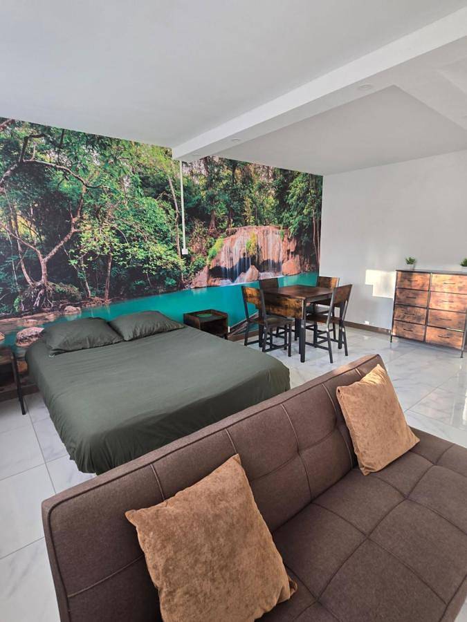 Gîte pour 4 personnes, avec balcon et jacuzzi à Belfort - 4