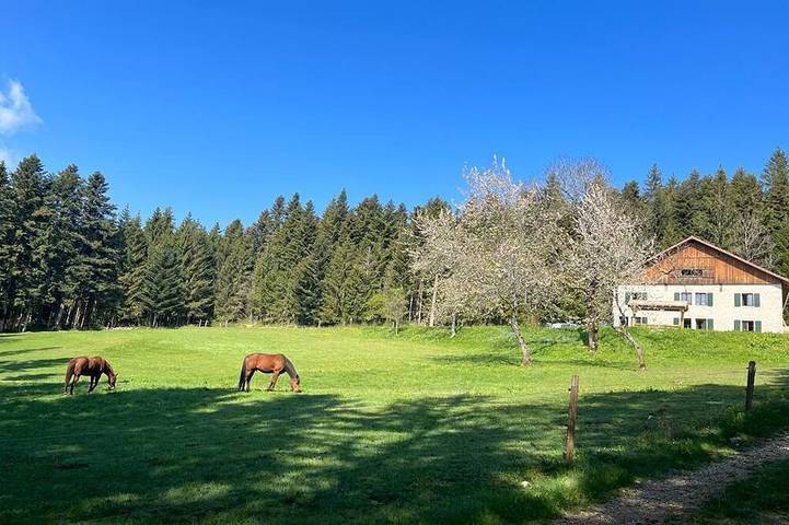 Gîte pour 15 personnes, avec sauna ainsi que jardin et jacuzzi à Plaimbois-du-Miroir