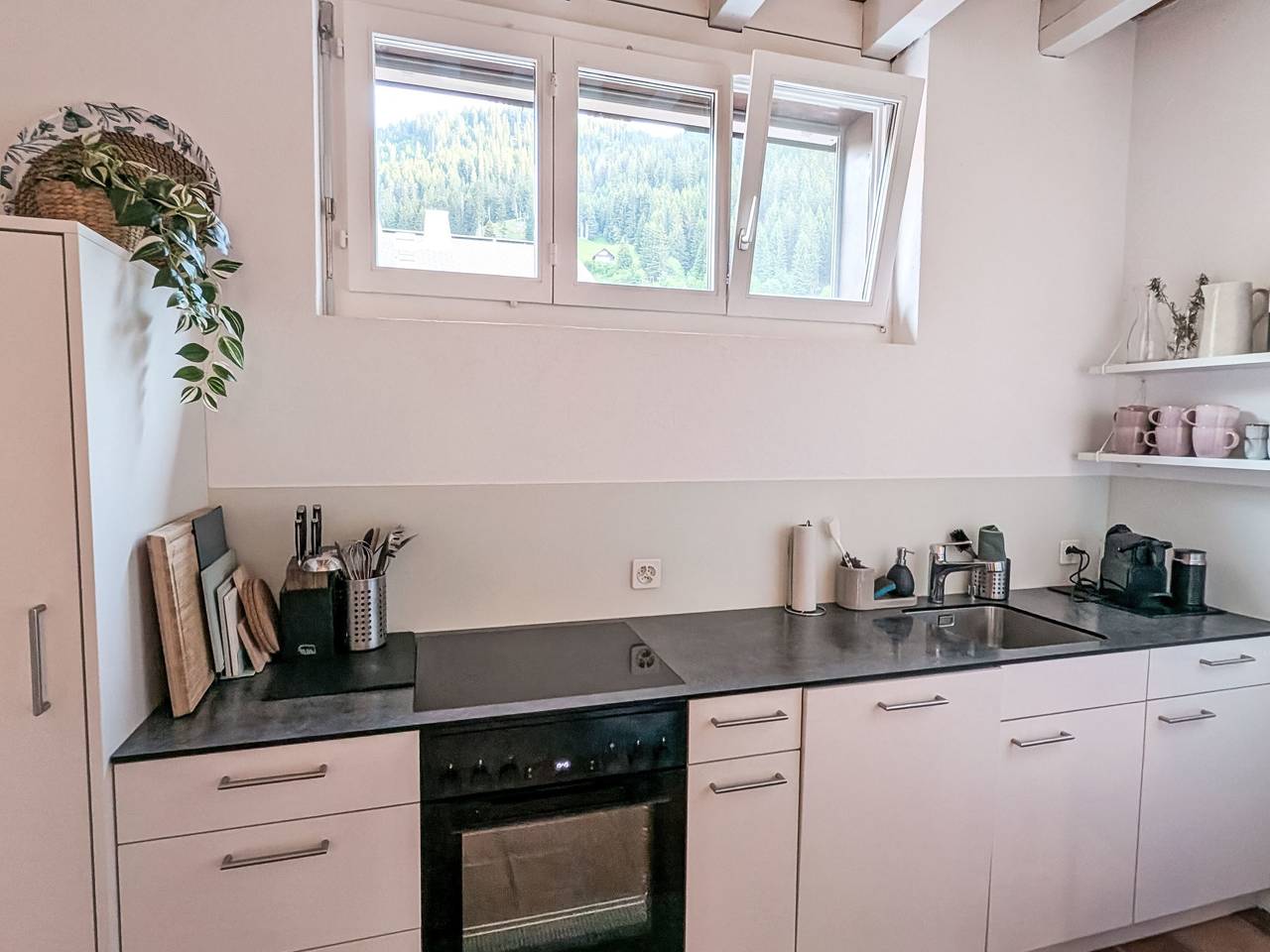 Ganze Wohnung, Sper Prada in Churwalden, Plessur Alpen