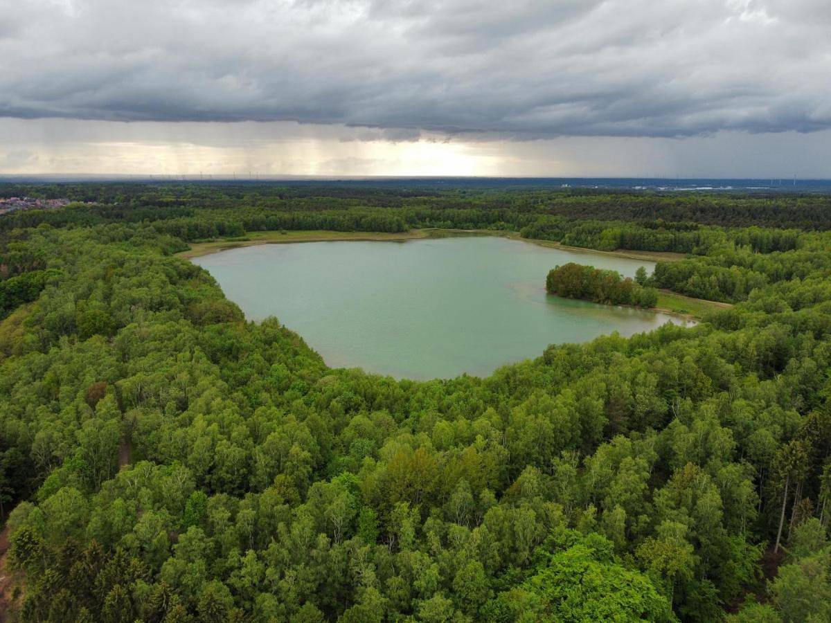Waldhotel zum Bergsee Damme in Damme, Oldenburger Muensterland