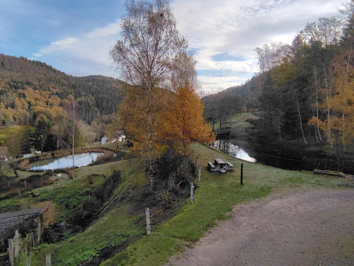 Maison de vacances pour 5 personnes avec terrasse in Dommartin-lès-Remiremont, Région d'Épinal