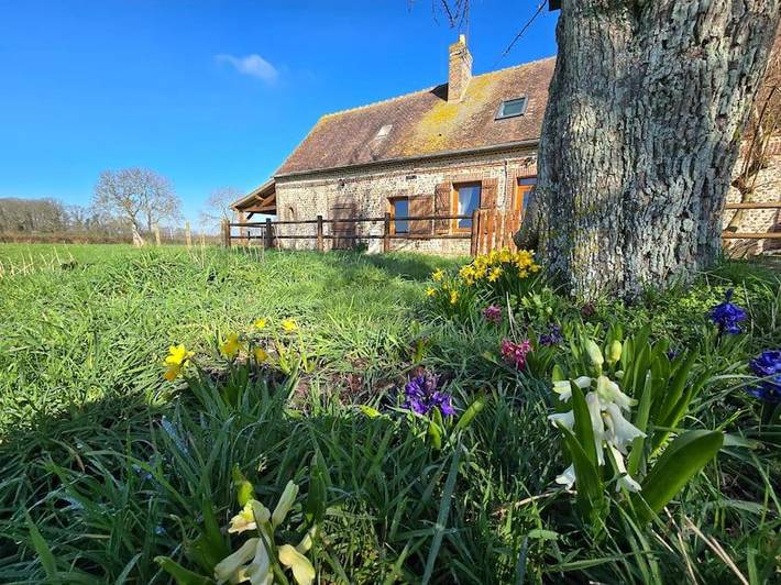 Gîte pour 3 personnes, avec jardin et terrasse, animaux acceptés dans Saint-Michel-Tubœuf