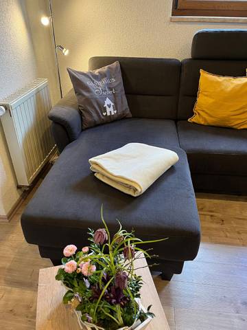 Ferienwohnung für 4 Personen in Bad Brambach, Vogtland, Bild 4