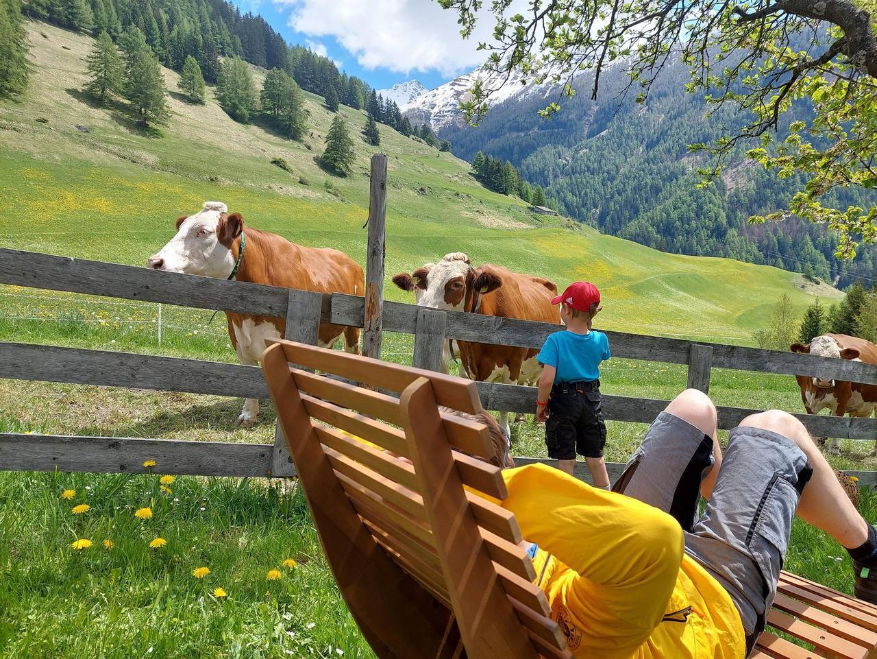 Bergerhof - Michael Gratz in Kals am Großglockner, Osttirol