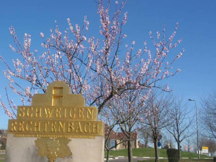 Ganze Ferienwohnung, Ferienwohnung Kerst in Schweigen-Rechtenbach, Südliche Weinstraße