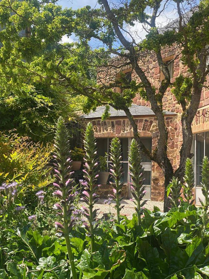 Chambre d’hôte pour 2 personnes, avec jardin et vue en Corrèze - 3