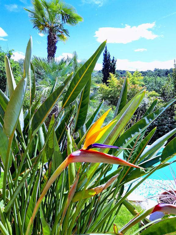 Chambre d’hôte pour 2 personnes, avec piscine et jardin dans les Alpes maritimes - 3