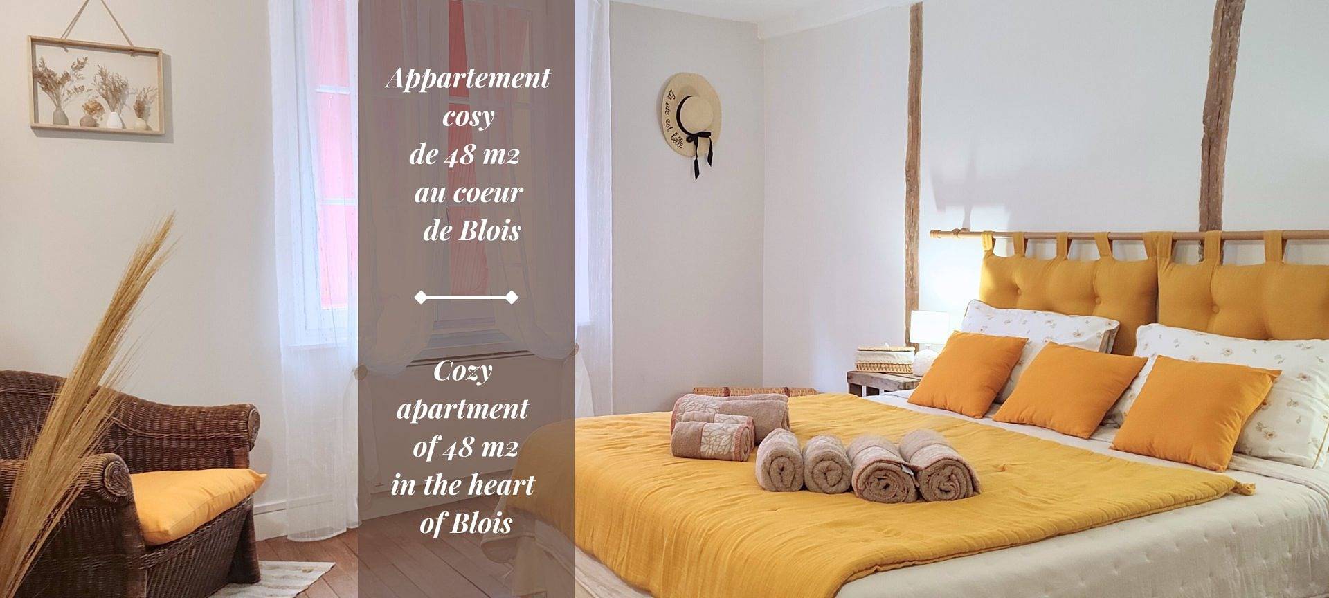 Appartement entier, Blois City - Le P'tit Louis Xii in Blois, Région de Blois