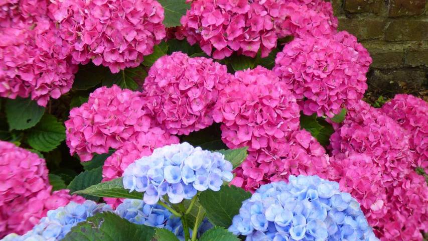 Gîte pour 2 personnes, avec vue et jardin à Sangatte - 3