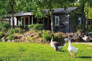Camping pour 4 Personnes dans Sévérac-d'Aveyron, Parc naturel régional des Grands Causses, Photo 1