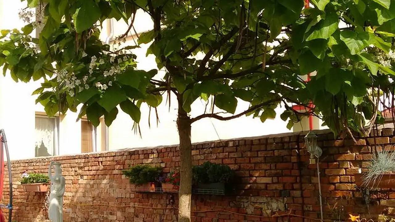Ganze Ferienwohnung, Ferienwohnung für 4 Personen (40 m²) in Stendal in Stendal, Altmark
