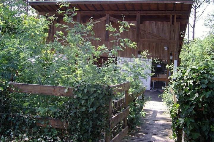 Location de vacances pour 19 personnes, avec Terrasse et Jardin dans Port de la Vigne