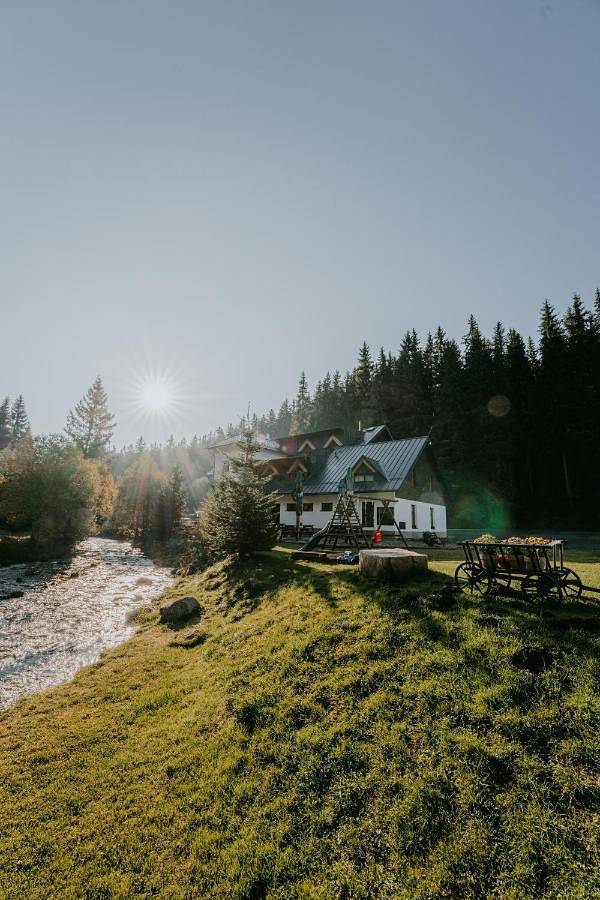 Gastenverblijf voor 3 personen, with uitzicht and tuin as well as sauna - 1