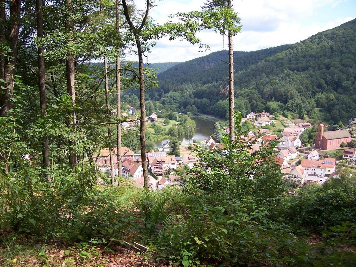 Ganze Wohnung, Ferienwohnung am Pfaffenfels in Schönau (Pfalz), Landkreis Südwestpfalz