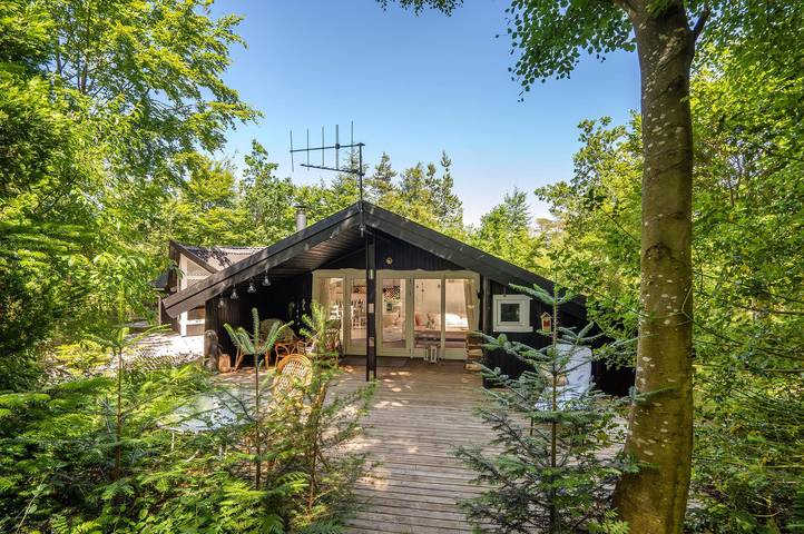 Pet friendly home in Hemmet with Wifi in Hemmet, Ringkøbing Fjord