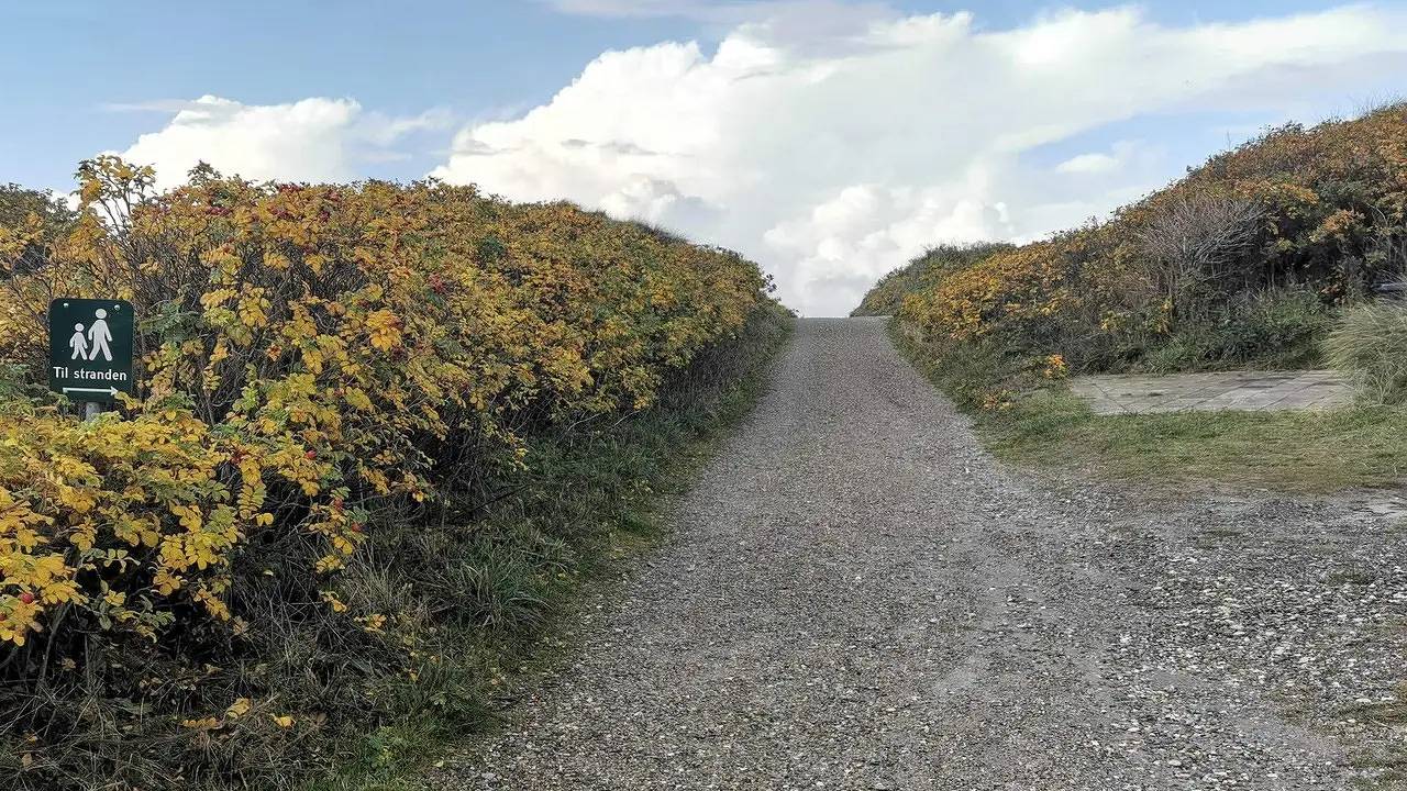 Ferienhaus für 6 Personen (62 m²) in Henne in Henne, Varde en omgeving