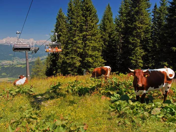 Ferienhaus für 10 Personen, mit Balkon und Terrasse sowie Sauna in Flachau - 3