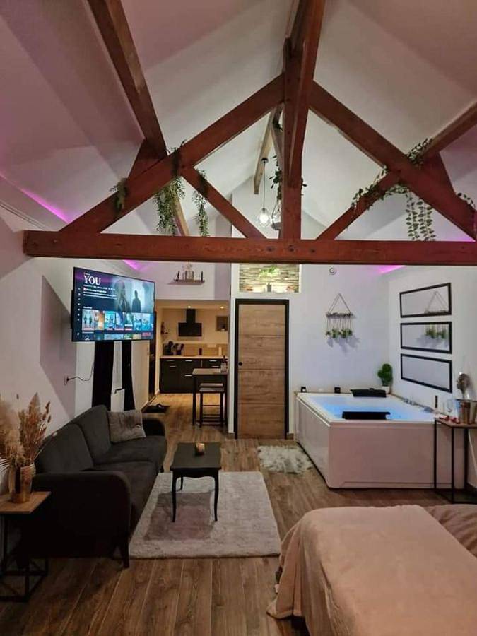 Hôtel pour 2 personnes, avec jacuzzi et jardin à Villemandeur - 2