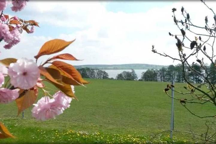 Holiday apartment for 3 people, with garden, with pets - 1