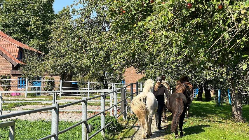 Ferienwohnung für 4 Personen, mit Garten und Ausblick in Osterby