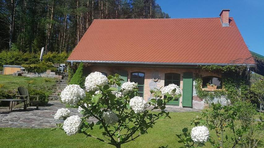 Willa dla 8 osób, z jacuzzi i ogród oraz sauna, zwierzęta dozwolone na Kaszuby