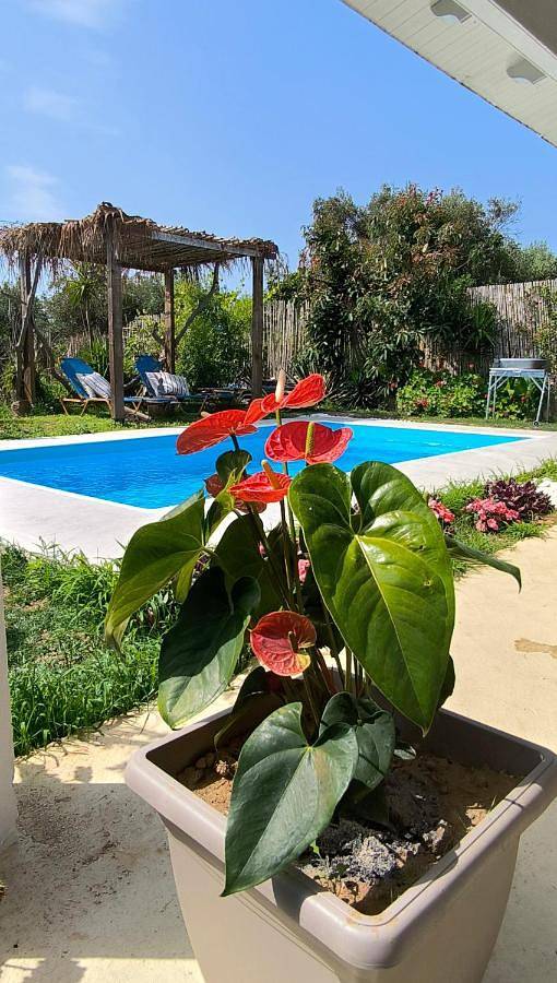 Villa pour 5 personnes, avec jardin ainsi que piscine et vue