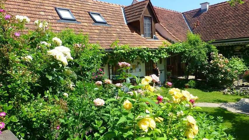 Ferienhaus für 3 Personen, mit Garten und Balkon in der Oststeiermark - 4