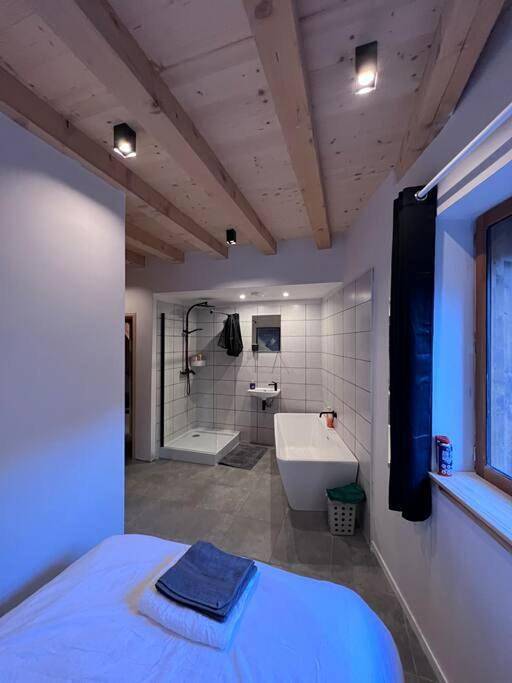 Gîte pour 10 personnes, avec vue à Saint-Jean-de-Belleville - 2