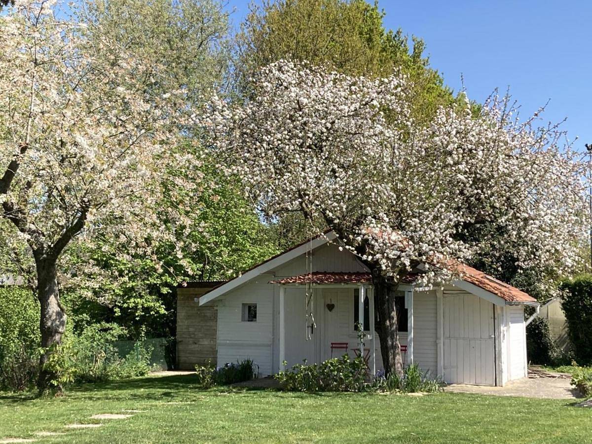 Le Chalet de La Longere in Beuvry-la-Forêt, Département Nord