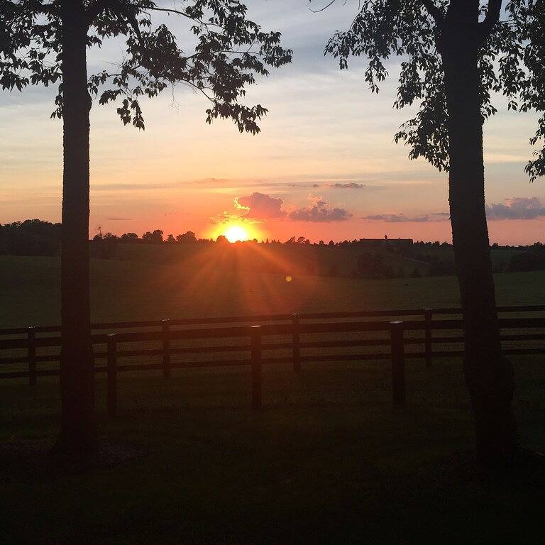 World Class Horse Farm Minutes To Keeneland, Bluegrass Airport, Bourbon Trail in Lexington, Kentucky