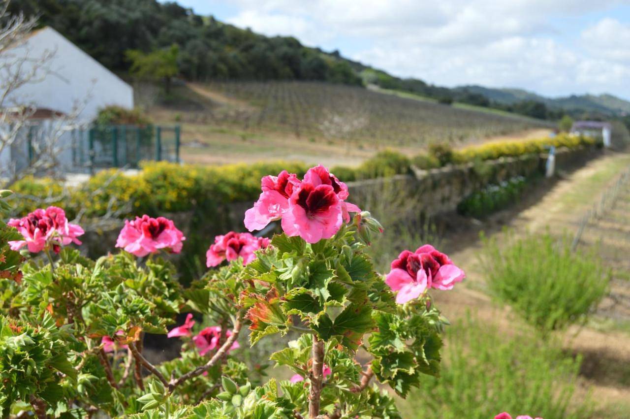 Quinta do Piloto in Palmela, Parque Natural da Arrábida
