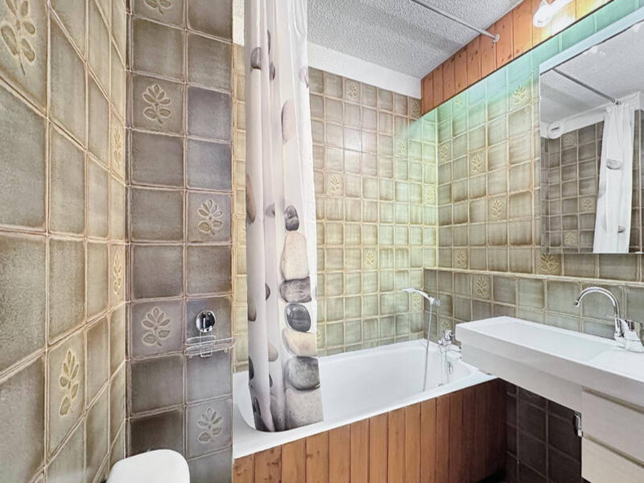 Ganze Wohnung, Ferienhaus in den Alpen mit Blick auf die Skipisten in Les Carroz, Arâches-la-Frasse