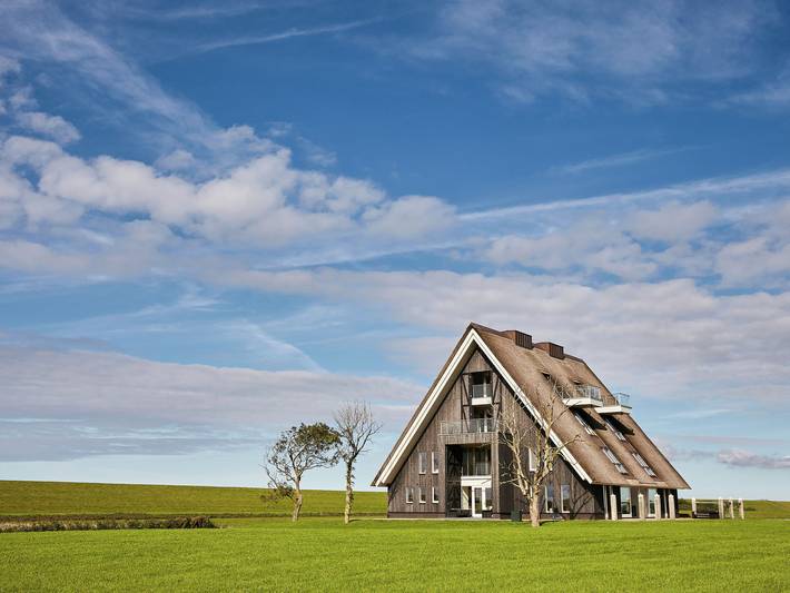 Ferienhaus für 22 Personen, mit Terrasse und Whirlpool in Friesland