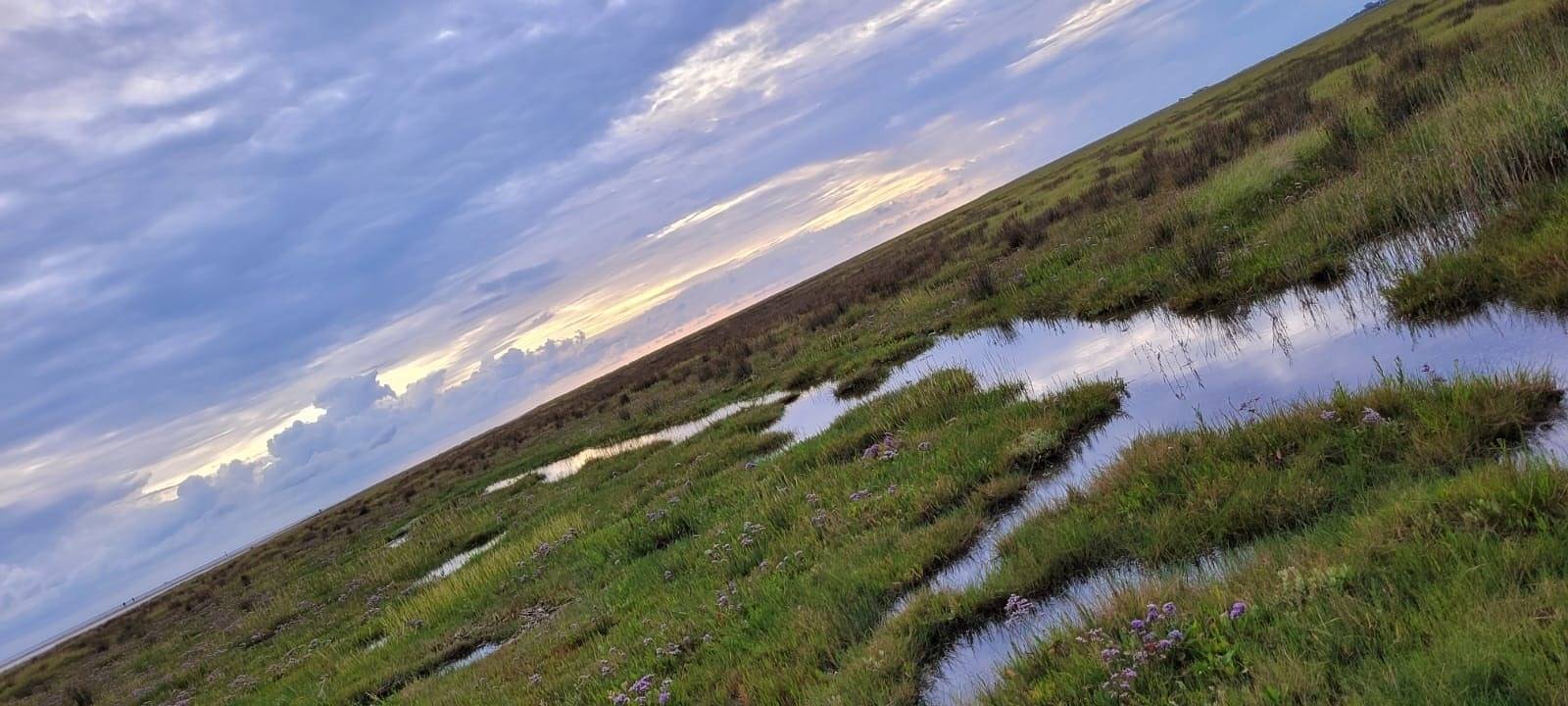 Ganze Ferienwohnung, Spo am Leuchtturm in Böhl (St. Peter-Ording), St. Peter-Ording