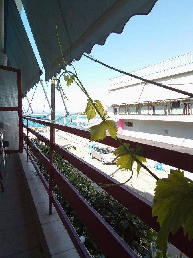 Gîte pour 3 personnes, avec jardin et vue, animaux acceptés dans Érétrie - 3