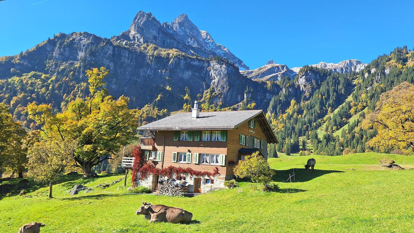 Entire holiday apartment, Beautiful holiday flat in an old farmhouse in Glarus Süd, Canton of Glarus