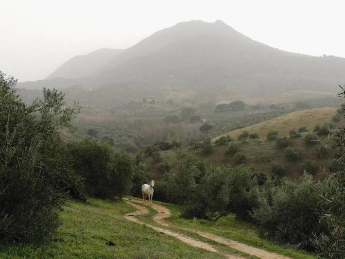 Location de vacances pour 6 personnes, avec piscine et terrasse à Villanueva de San Juan