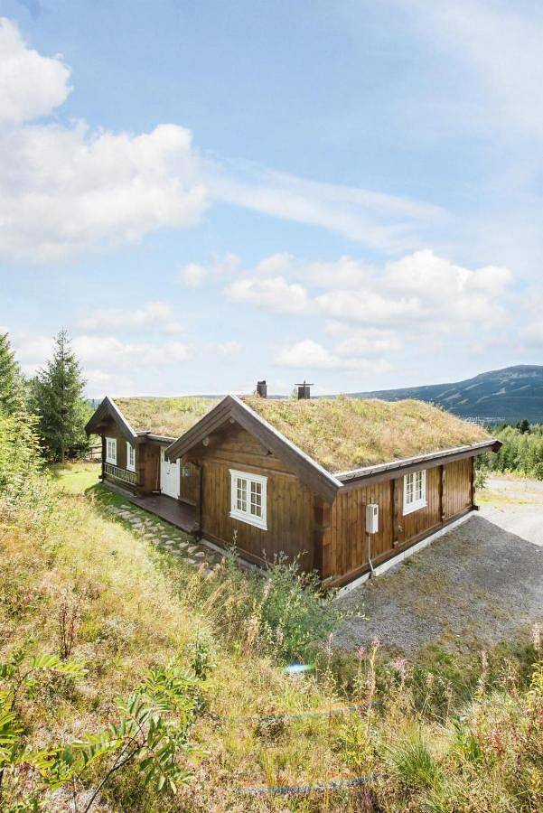 Reveenka cabin in Trysil - Jacuzzi for rent in Innbygda i Trysil, Trysil 