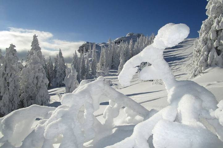 Ferienhaus für 5 Personen, mit Garten und Terrasse in Böbrach - 2