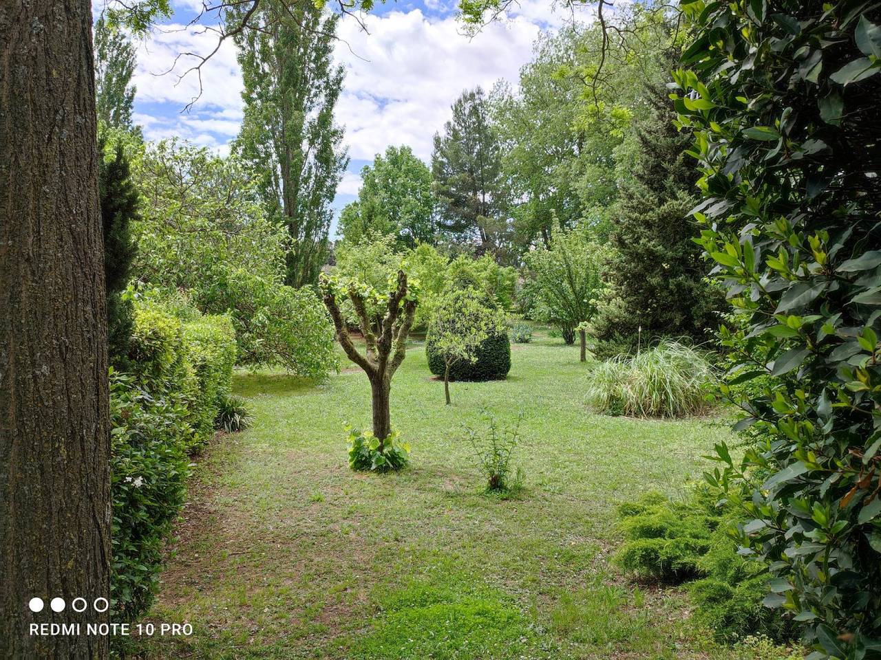 Château Saint-Martin, tables d'hôtes, chambres d'hôtes - Assalhy (+ annexe 8m²) in Carcassonne, Région de Carcassonne