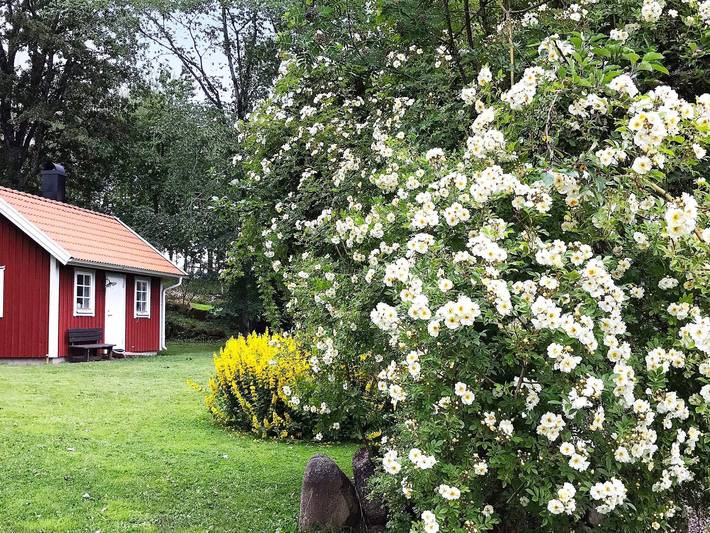 Ferienhaus für 4 Personen in Schweden
